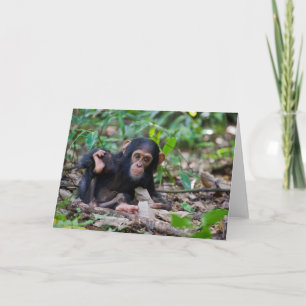 Kibale Chimpanzee Greeting Card - Quiver