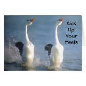 KICK UP YOUR HEALS" GEESE STYLE FOR "BIRTHDAY" (Front Horizontal)