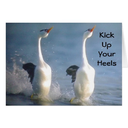KICK UP YOUR HEALS" GEESE STYLE FOR "BIRTHDAY" CARDS (Front Horizontal)