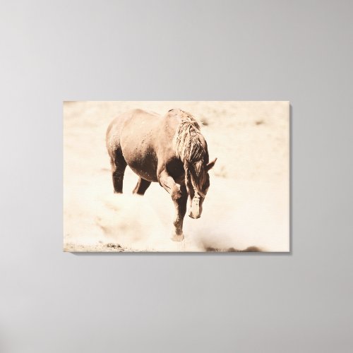 Kickin Up the Dust Stretched Canvas Print