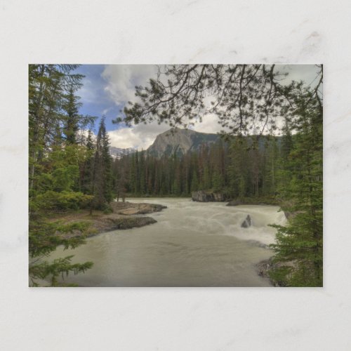 Kicking Horse River Postcard