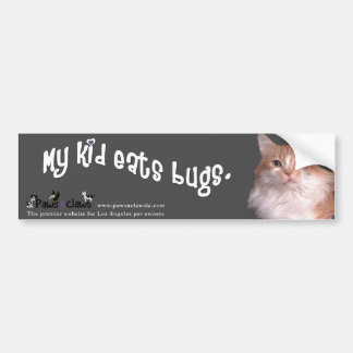 "Kid Eats Bugs" Cat Color Bumper Sticker