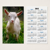 Kid Goat (Front & Back)
