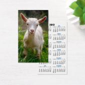 Kid Goat (Desk)