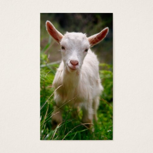 Kid Goat Business Card Template