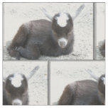 Kid Goat Fabric