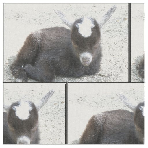Kid Goat Fabric
