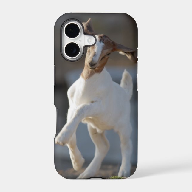 Kid Goat Playing Iphone Case (Back)