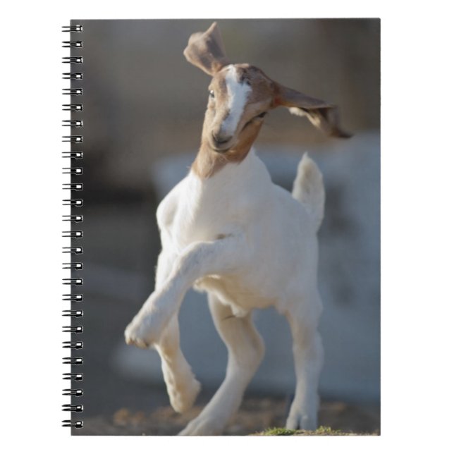 Kid Goat Playing Notebook (Front)