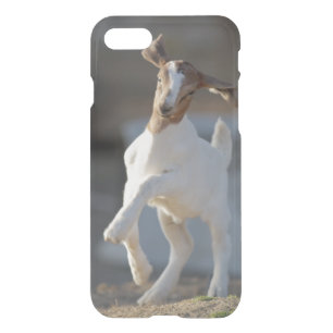 Kid Goat Playing iPhone SE/8/7 Case