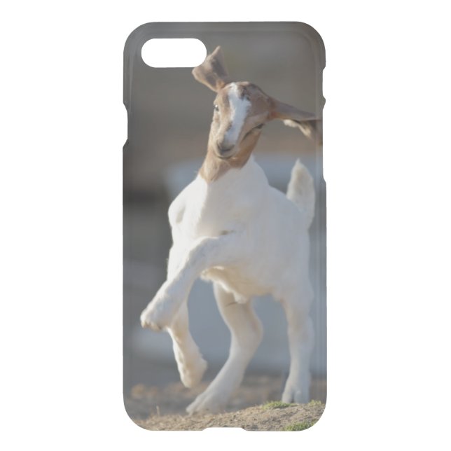 Kid Goat Playing Uncommon iPhone Case (Back)