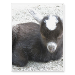 Kid Goat Temporary Tattoos