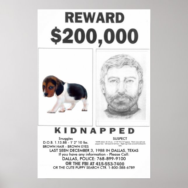 Kidnapped Fully CUSTOMIZABLE Poster REWARD (Front)