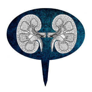 KIDNEY 2 DRAWING CAKE TOPPER