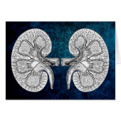 KIDNEY 2 DRAWING CARDS (Front Horizontal)