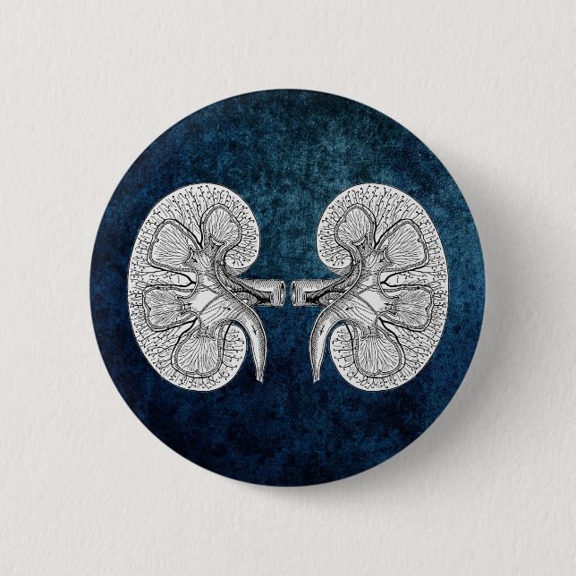 KIDNEY 2 DRAWING PINBACK BUTTON (Front)