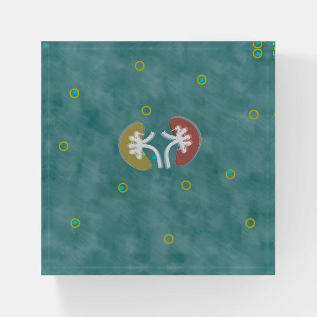 Kidney Art Paperweight (Front)