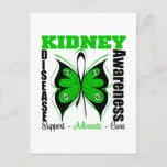 Kidney Disease Awareness Butterfly Postcard