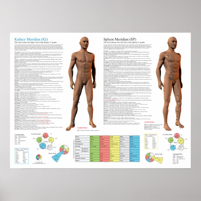 Kidney Meridian Acupuncture Points Poster (Front)