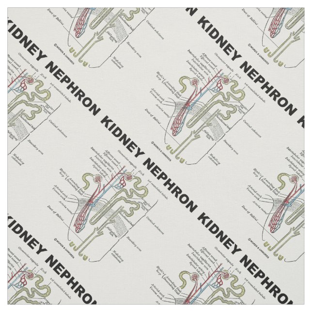 Kidney Nephron Gray's Anatomy Textbook  Fabric (Swatch)
