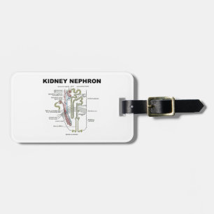 Kidney Nephron (Gray's Anatomy Textbook) Luggage Tag