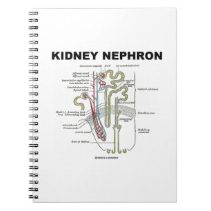 Kidney Nephron (Gray's Anatomy Textbook) Notebook