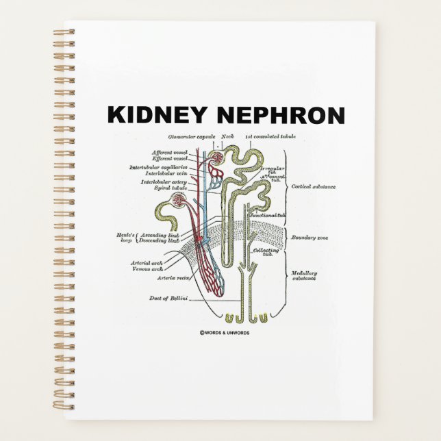 Kidney Nephron Gray's Anatomy Textbook  Planner (Front)