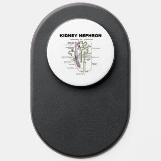 Kidney Nephron Gray's Anatomy Textbook PopSocket