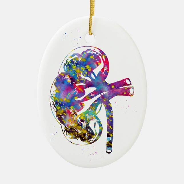 Kidney section ceramic ornament (Front)