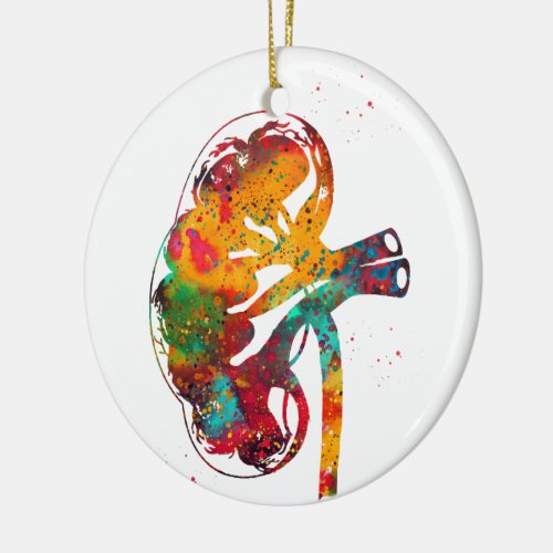 Kidney section ceramic ornament