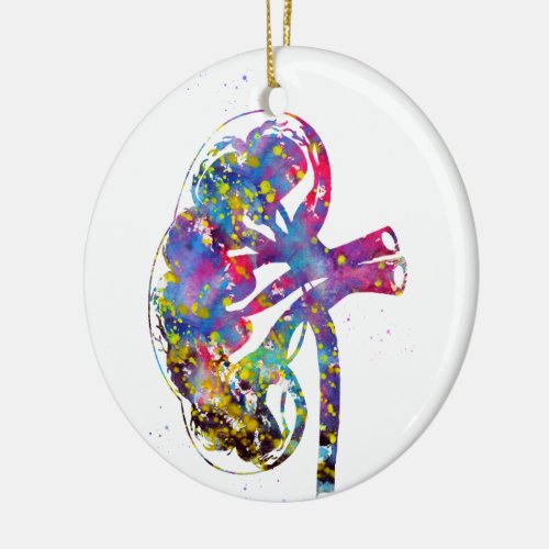 Kidney section ceramic ornament