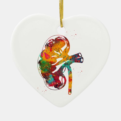 Kidney section ceramic ornament