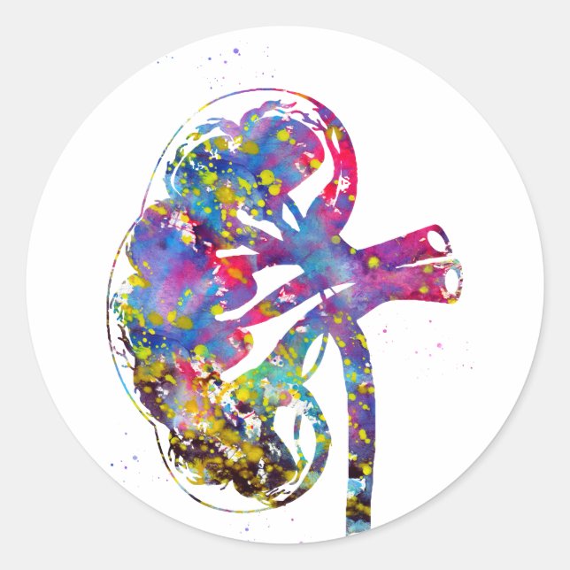 Kidney section classic round sticker (Front)
