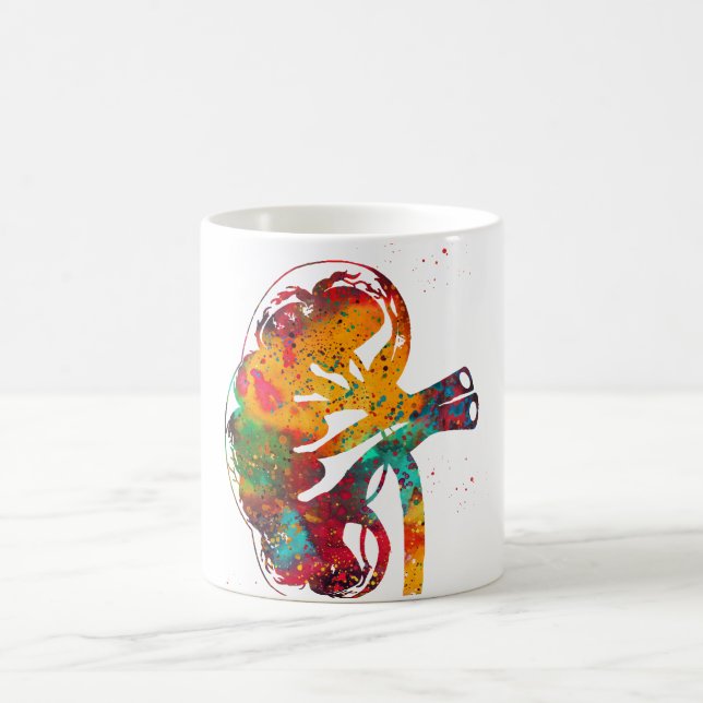 Kidney section coffee mug (Center)