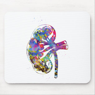 Kidney section mouse pad