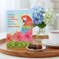Kidney Surgery Healing Scarlet Macaws, Hibiscus