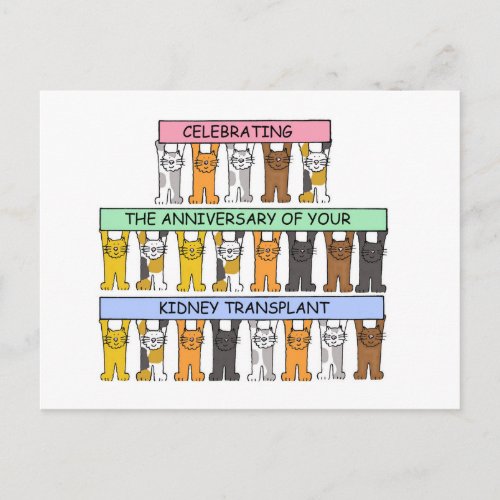 Kidney Transplant Anniversary Cartoon Cats Postcard