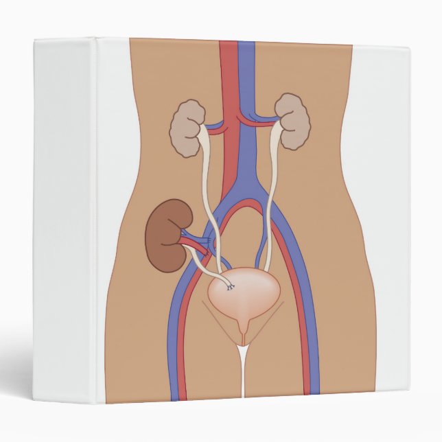 Kidney Transplant Binder (Front/Spine)