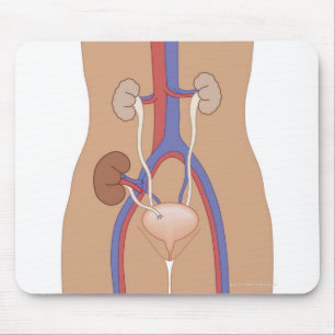 Kidney Transplant Mouse Pad