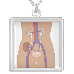 Kidney Transplant Silver Plated Necklace