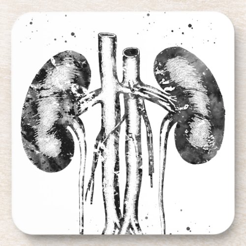 Kidneys anatomy beverage coaster