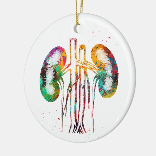 Kidneys anatomy ceramic ornament