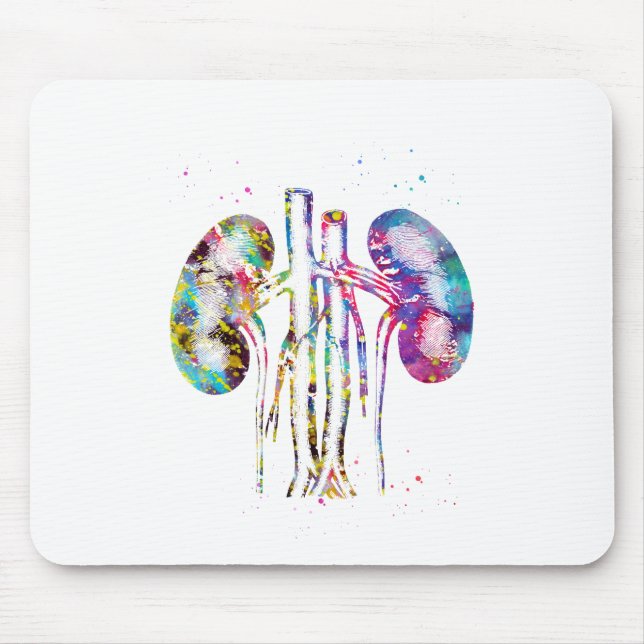 Kidneys anatomy mouse pad (Front)