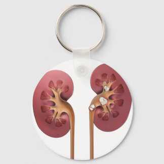 kidneys keychain