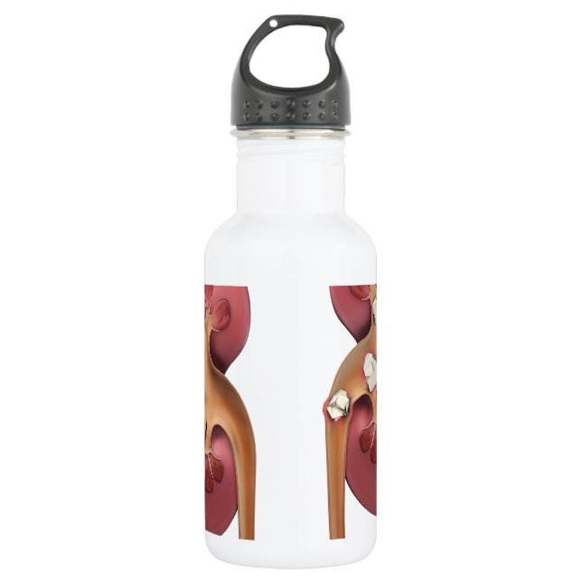 kidneys water bottle (Front)