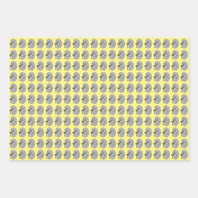 Kidneys, yellow, wrapping paper sheets (Front)