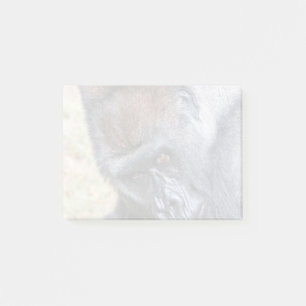 Kidogo (Willie B Jr) at Zoo Atlanta Post-it Notes