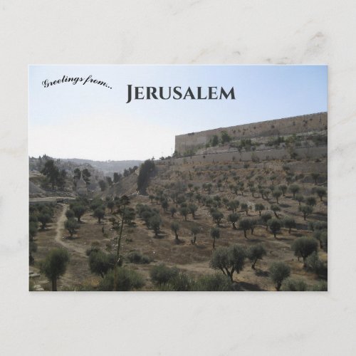 Kidron Valley Jerusalem Postcard