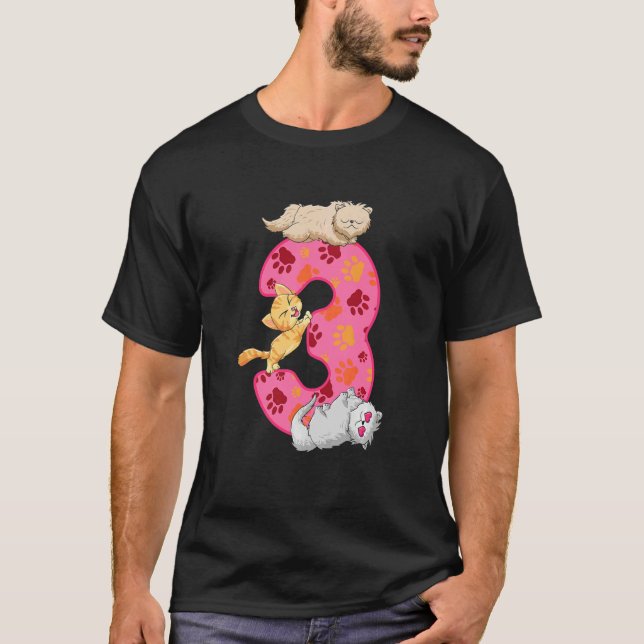 Kids 3rd Birthday Kittens Balloon Cat Paw Themed B T-Shirt (Front)