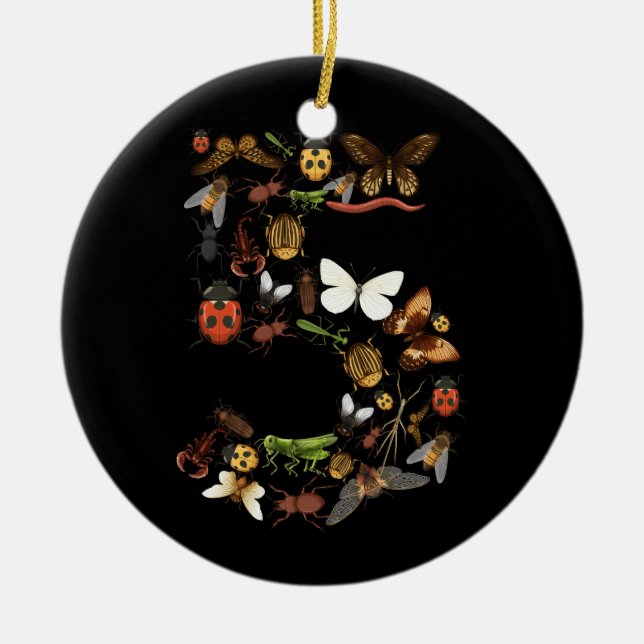 Kids 5th Birthday Bugs Insects Beetles Boys Girls  Ceramic Ornament (Front)